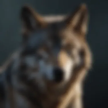 Magnificent 92.1 The Wolf: Decoding Its Cultural Resonance in Modern Music Magnificent 92.1 The Wolf: Decoding Its Cultural Resonance in Modern Music