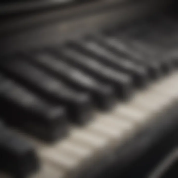 A close-up of piano keys, showcasing intricate details and potential for expression