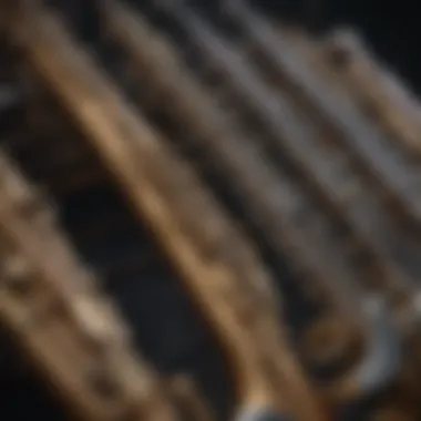 Evolution of Instruments Reflecting the Double Donger The evolution of musical instruments representing the double donger concept