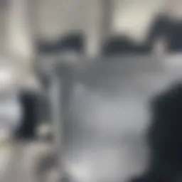 Artistic representation of B&W Zeppelin's unique design