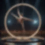 A breathtaking aerial performance showcasing acrobatic artistry