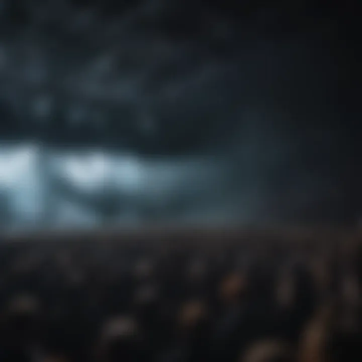 Fans enjoying Ed Sheeran's concert atmosphere