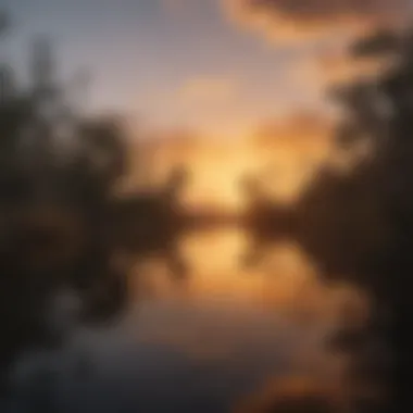 A serene view of the Everglades at sunset