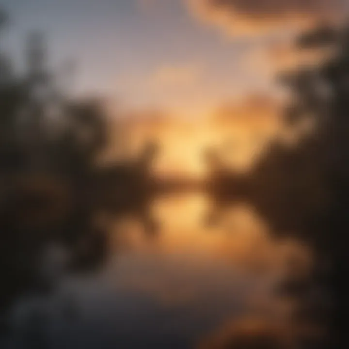 A serene view of the Everglades at sunset