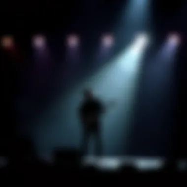 Silhouette of a musician performing on stage.