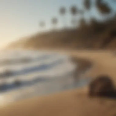 Scenic California beach reflecting the band's roots