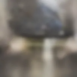 Therapeutic environment fostering mental well-being