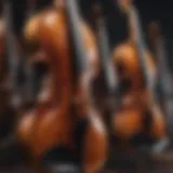 An exquisite collection of violins displayed elegantly