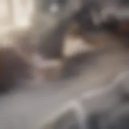 Dynamic dance scene showcasing the film's energy