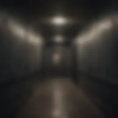 Eerie Sound Waves in a Haunted Corridor A dark corridor filled with eerie sound wave patterns