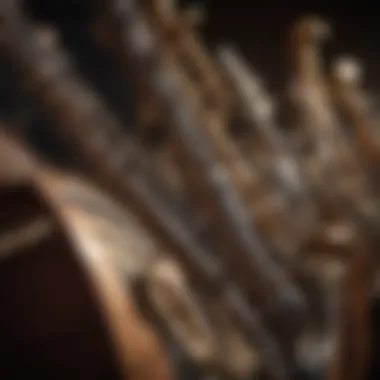 The Spectrum of Musical Instruments An artistic representation of various musical instruments