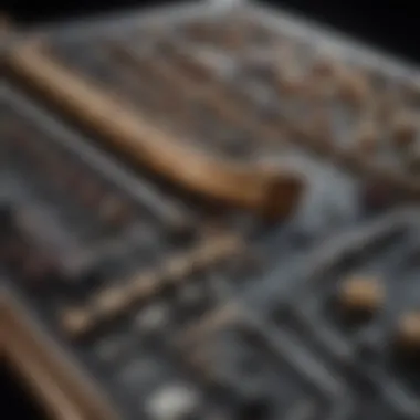 Instruments that Shaped Jeff Prince's Sound A collection of musical instruments that influenced Jeff Prince's artistry