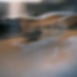 Guitar neck showcasing Drop C Sharp tuning