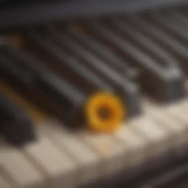 Exploring the Melody of 'You Are My Sunshine' Piano keys highlighting a melody