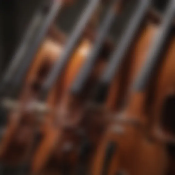 Close-up of string instruments during a rehearsal