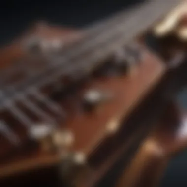 Quality Guitar Strings for Jazz Performance Close-up of guitar strings highlighting their quality and tension