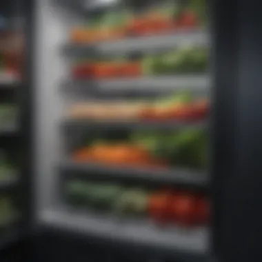 Food Preservation in Refrigeration Fresh vegetables stored in a refrigerator highlighting food preservation