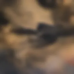 Historical evolution of agricultural machinery