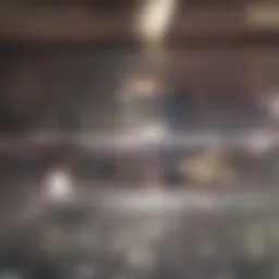 Visual representation of credit score range