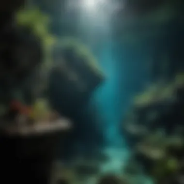 Exploring Underwater Wonders: Marine Life at Xcaret Diverse marine life in the crystal-clear waters of Xcaret's natural cenotes